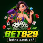 629 bet