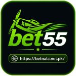 Bet55 Game: Complete Guide