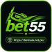 Bet55 Game: Complete Guide