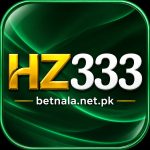 HZ333 Game: