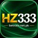 HZ333 Game: